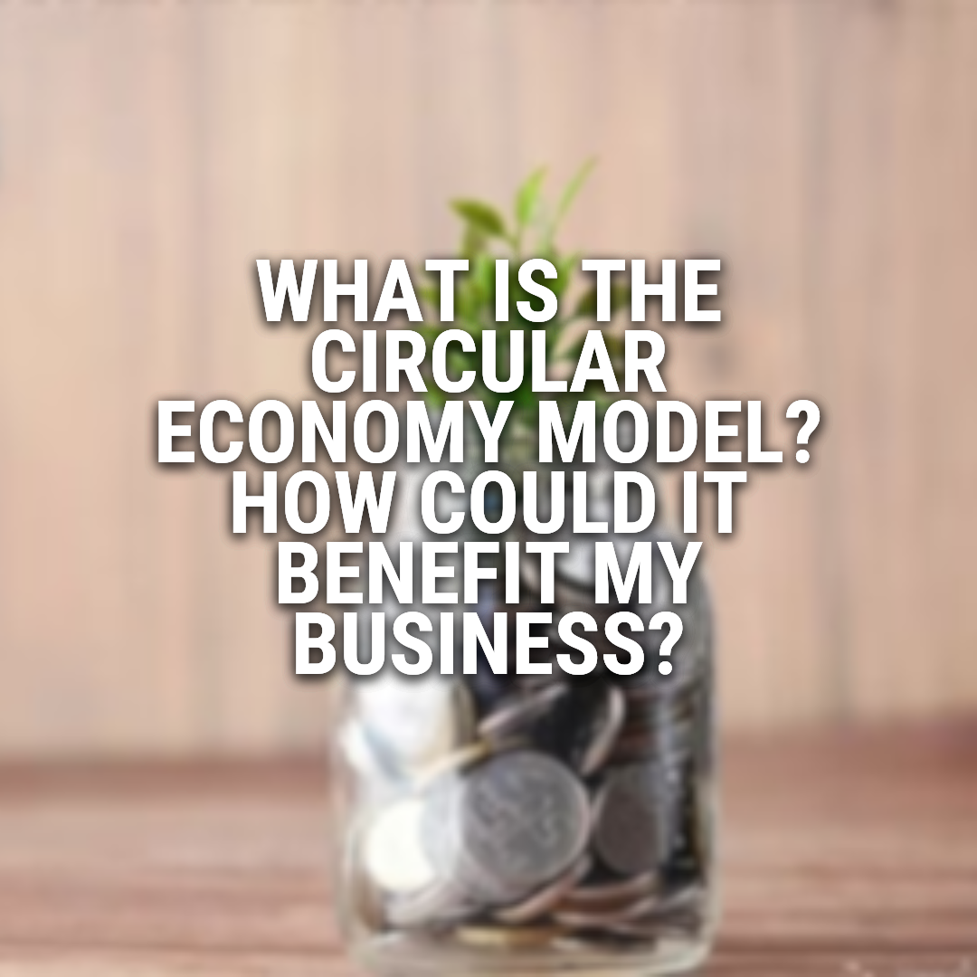 What is the Circular Economy Model? How Could it Benefit My Business?
