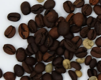 The Basics of Coffee Processing